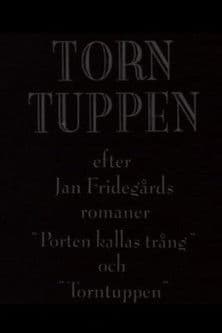 Torntuppen