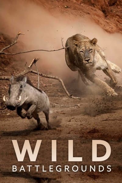 Wild Battleground