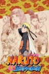 Naruto visual data 2