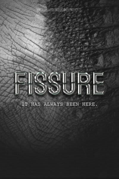 FISSURE